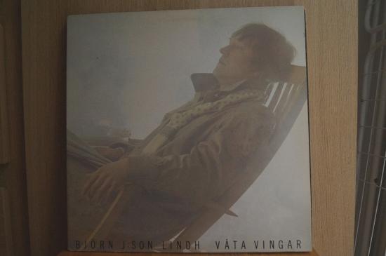 Björn J:Son Lindh - Våta Vingar