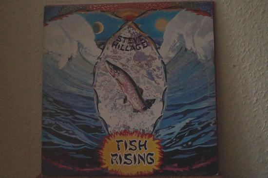 Steve Hillage - Fish Rising