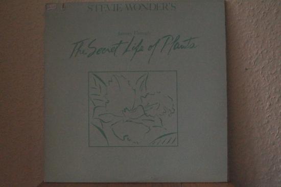 Stevie Wonder - Journey Through The Secret Life Of Plants