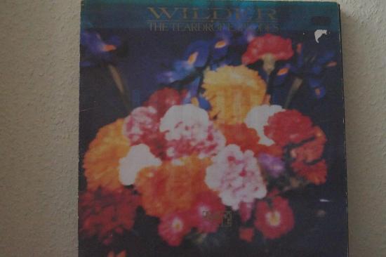 Teardrop Explodes - Wilder