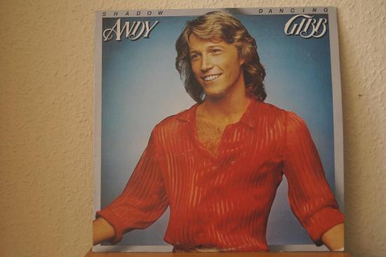 Andy Gibb - Shadow Dancing