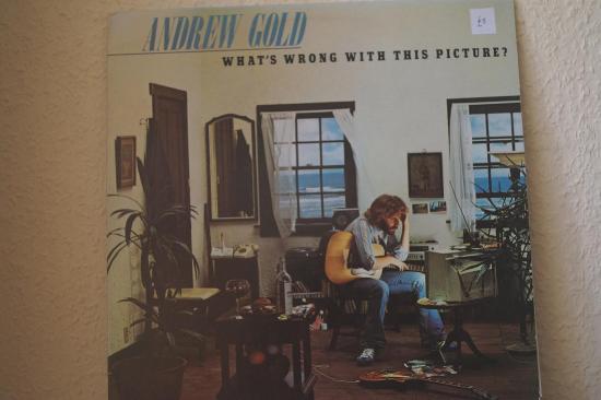 Andrew Gold - What's Wrong With This Picture?
