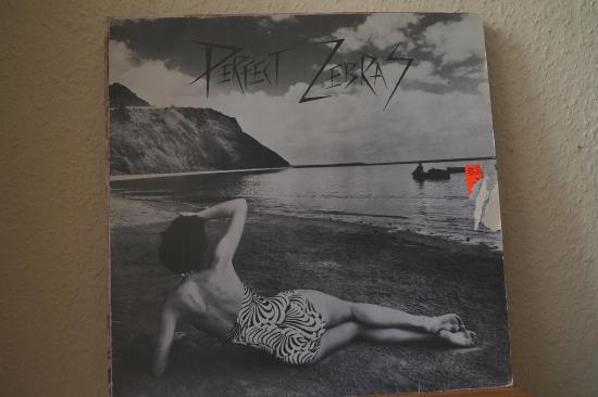 Perfect Zebras - Mixing With Wildlife