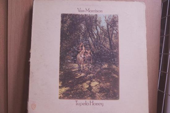 Van Morrison - Tupelo Honey
