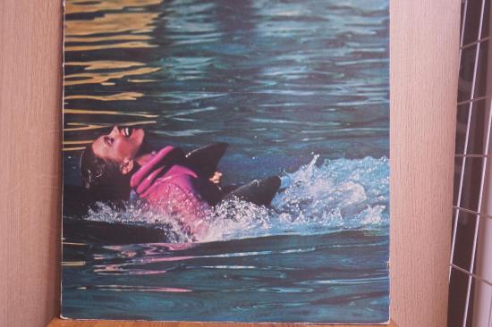 Olivia Newton John- Physical
