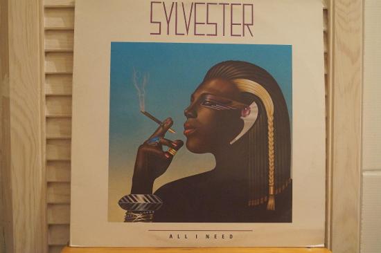 Sylvester - All I Need