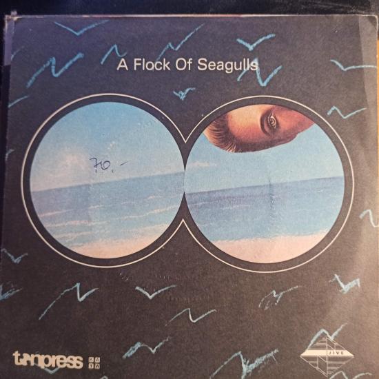 A Flock Of Seagulls - Wishing (If I Had A Photograph Of You) / I Ran