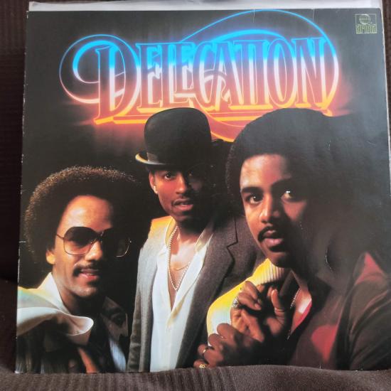 Delegation - Delegation