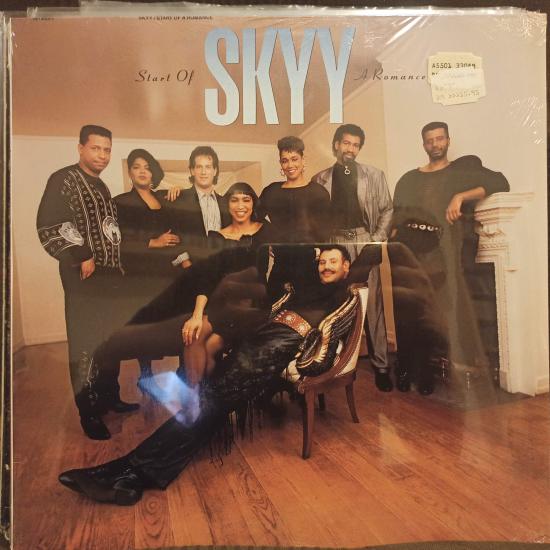 Skyy - Start Of A Romance