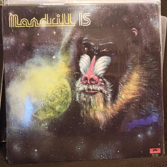 Mandrill -Mandrill Is