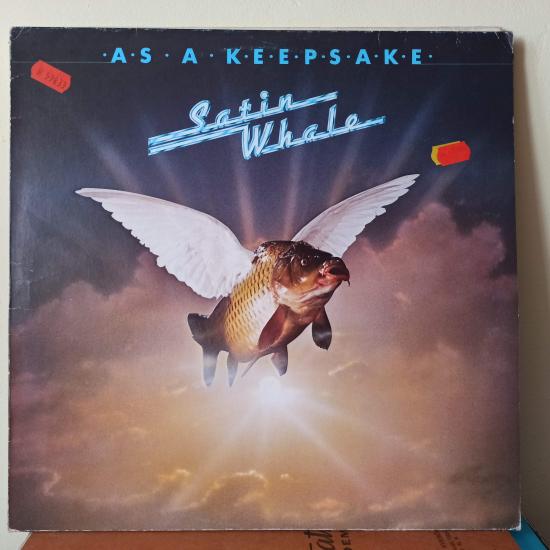 Satin Whale -As A Keepsake