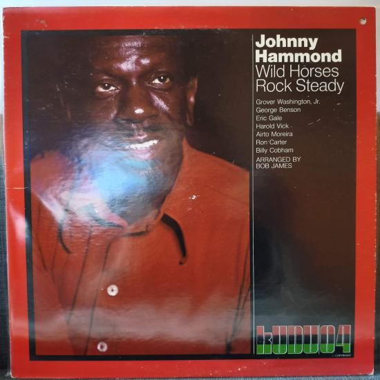 Wild Horses Rock Steady