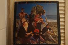 Sea Level - Cats On The Coast