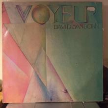David Sanborn -Voyeur