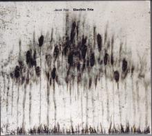 Jacek Pelc -Electric Trio