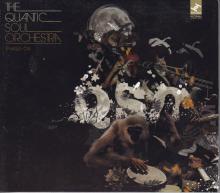 Quantic Soul Orchestra - Pushin On